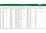 clean, format, and organize your excel data professionally
